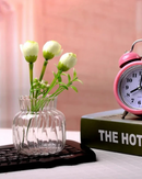 Vaso de Vidro Nórdico Transparente para Decoração de Flores e Arranjos