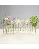 Vasos de Vidro Suspensos para Plantas Kit 4 ou 6 Unidades